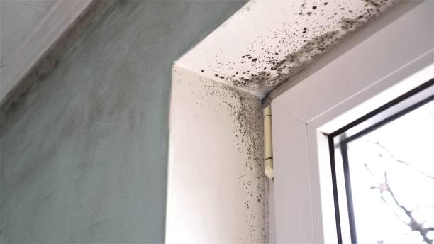 Water Damage Restoration in Clinton, NC