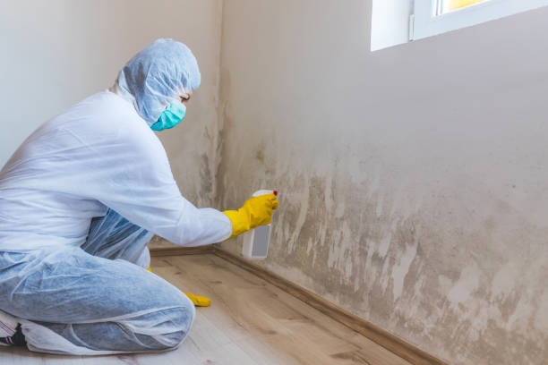 Certified Mold Removal in Clinton, NC