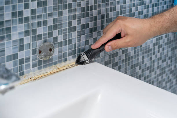 Best Professional Mold Removal  in Clinton, NC